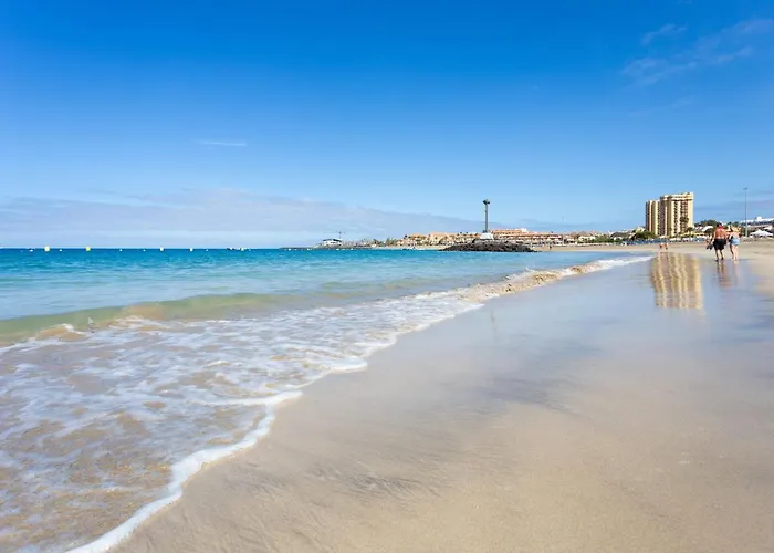 Home2book Americas Comfy Apt, Pool&terrace 아파트